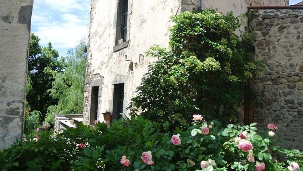 En rustik stenbyggnad med ett delvis öppet fönster och en frodig trädgård med rosa rosor.