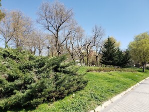 Enceinte de l’hébergement