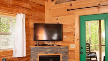 Smart TV, fireplace, DVD player, books