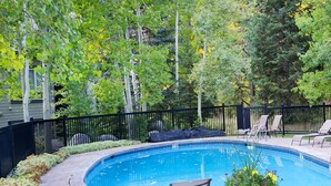 A swimming pool with a wooden deck, surrounded by a black fence, and a chair and potted plant in the foreground.