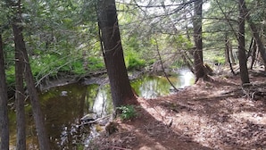 Une zone boisée avec un ruisseau et un sentier de terre.
