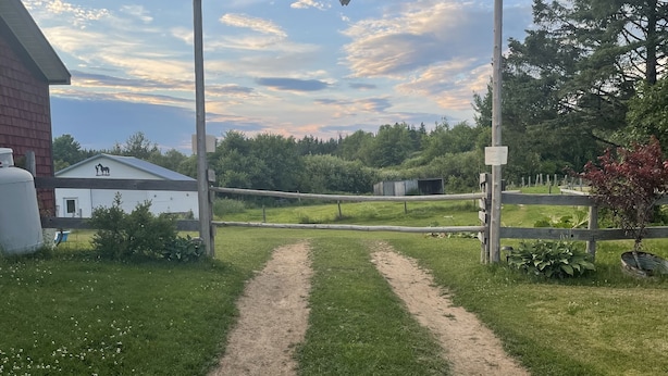 Une propriété rurale, avec un chemin de terre menant à un bâtiment blanc, entouré de verdure et sous un ciel nuageux.