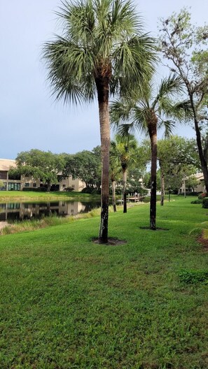 Property grounds - Bright & cozy ground floor condo - 5 mins from the beach & downtown! (Venice)