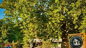 A coffee shop with a sign for Ohioville Coffee Company, a covered outdoor seating area, and a sign for Falls Market Entrance. - Ohiopyle Trailside Hotel Room 1 Queen Beds Sleeps 2 /Minutes to Fallingwater (Ohiopyle)