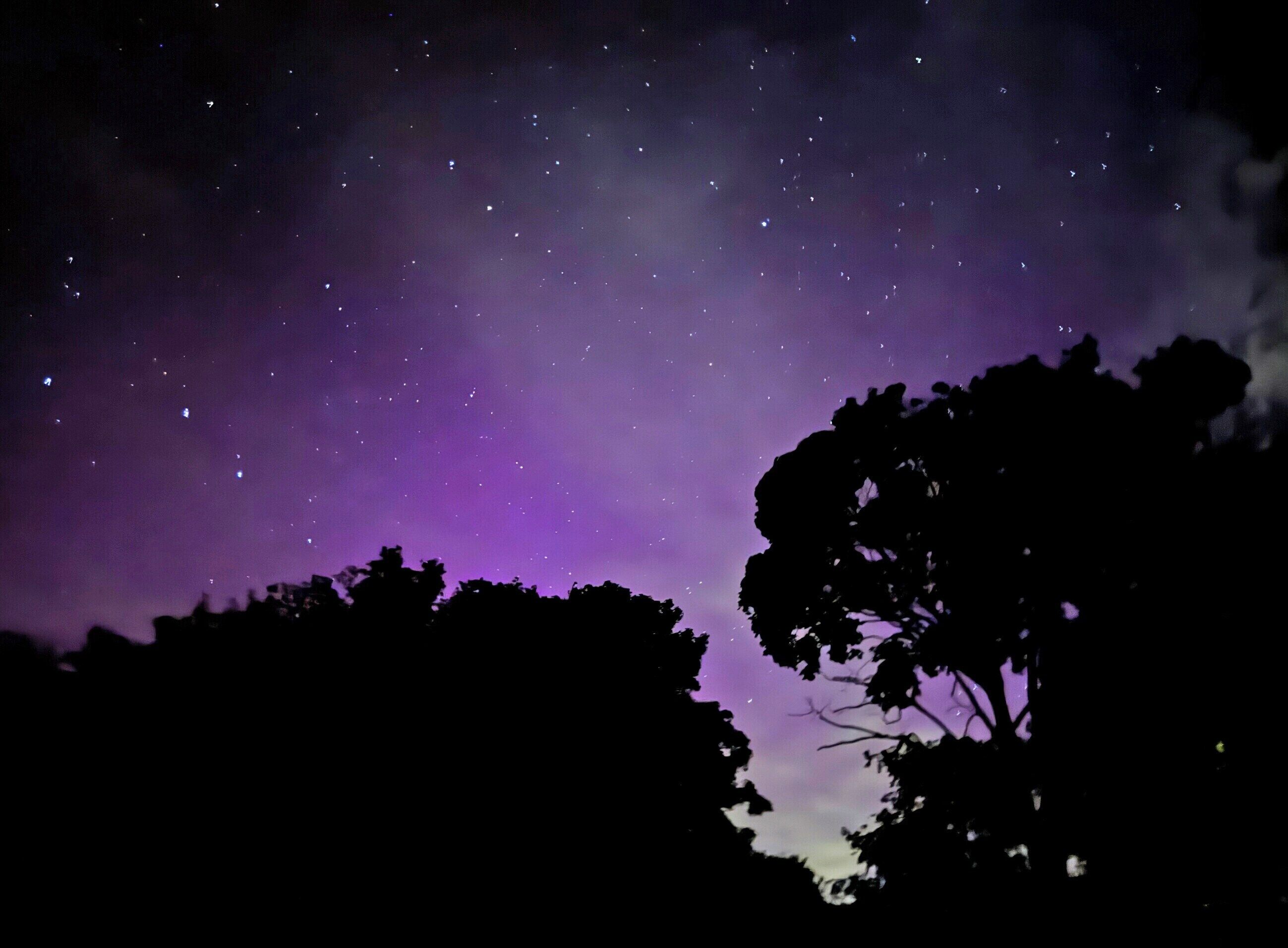 A night sky with stars and silhouettes of trees.