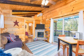 智能电视、壁炉、DVD 播放器、书