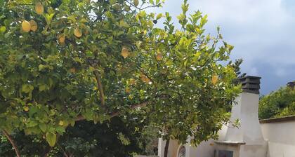 Country house with terrace in the shade of lemon trees