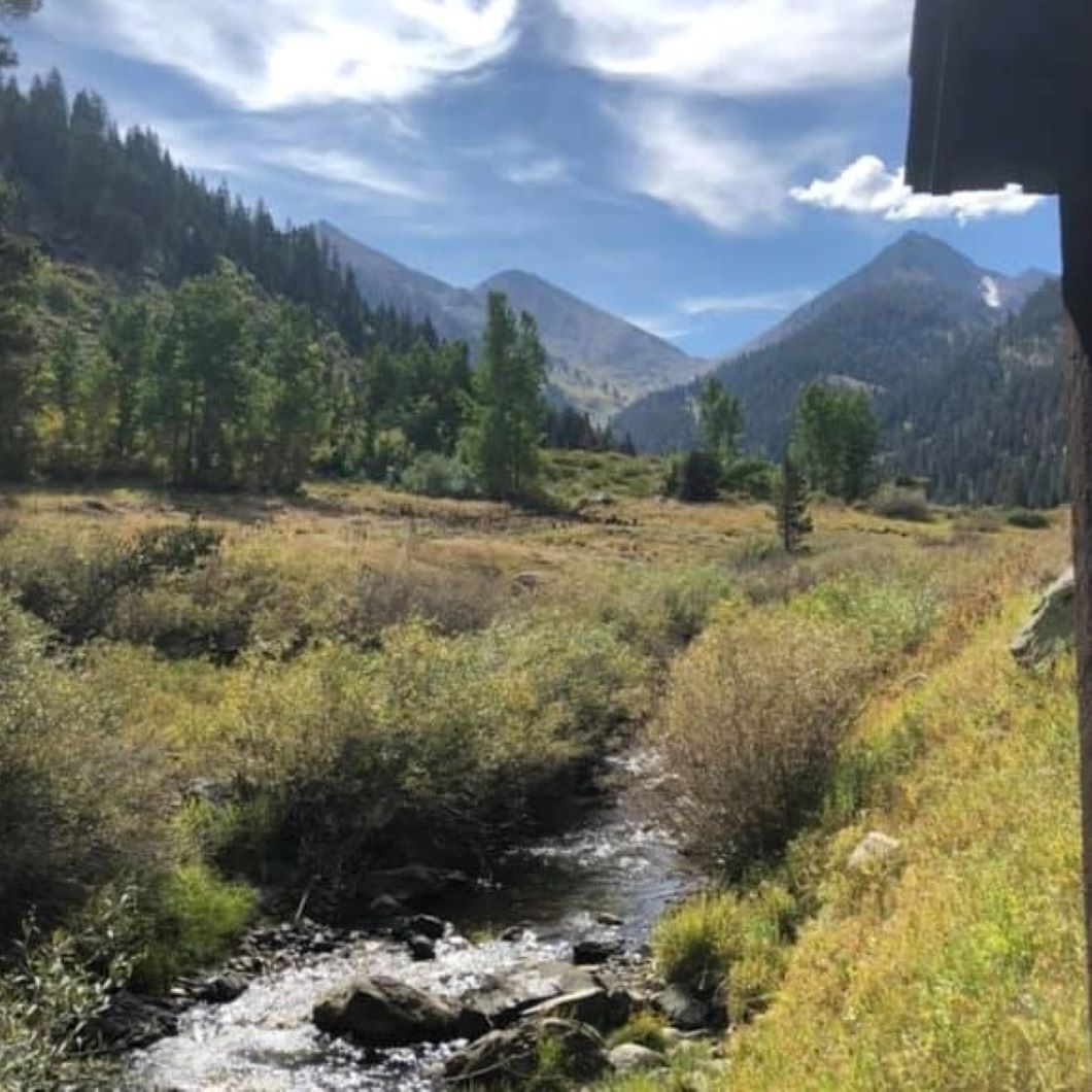 A mountainous landscape with a stream, dense forest, and distant peaks.