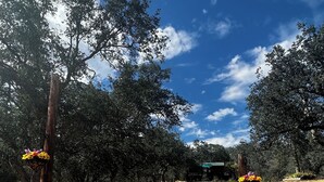 住宿场地