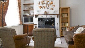 A living room with two armchairs, a television, a fireplace, and a bookshelf.