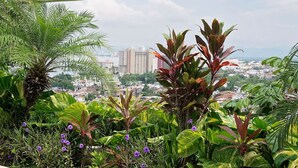 A balcony with lush tropical plants and a cityscape view. - Beautiful, Airy Condo Near Boardwalk**** (Puerto Vallarta)