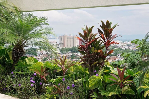 Un balcon agrémenté d’une végétation tropicale luxuriante et offrant une vue sur la ville.