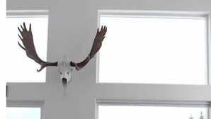 A dining area with a large table and chairs, a wooden ceiling, and a deer skull mounted on the wall. - Peaceful Homer Getaway (Homer)