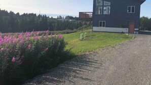 A modern two-story house with a flat roof and large windows, surrounded by a well-maintained lawn and vibrant pink flowers. - Peaceful Homer Getaway (Homer)