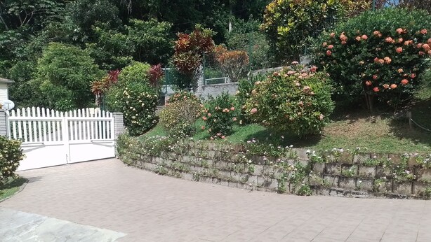 A paved driveway leading to a gated entrance, surrounded by a variety of flowering shrubs and trees. - Les Ixoras, quiet, flower-filled gîte in green setting 6 km from town and beaches. (La Trinité)