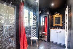Shower, hair dryer, towels - The royal escape (Saint-Benoît-la-Forêt)