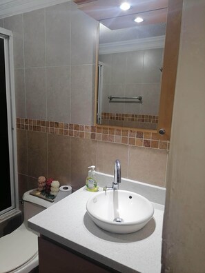Ducha y bañera combinadas