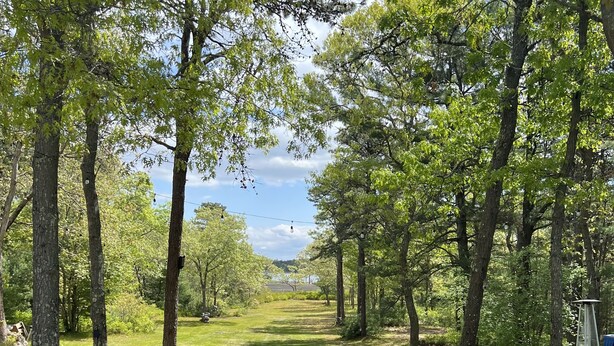 A row of turquoise Adirondack chairs facing a grassy path lined with trees.