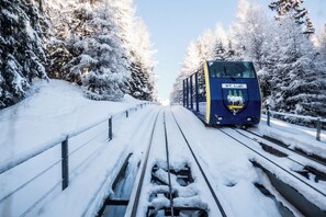 A train on tracks surrounded by snow-covered trees.