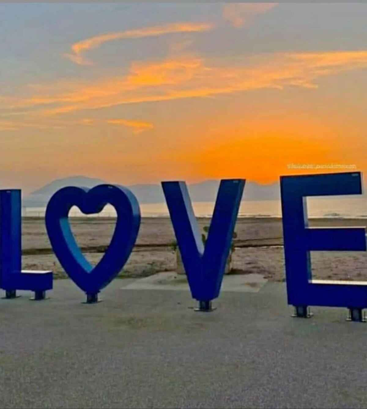 Imagen de perfil del propietario o de la propietaria