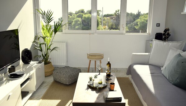 TV, fireplace