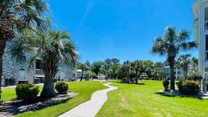 A pathway leading through a well-maintained lawn with palm trees and a building with a stone facade. - Great 1 BDR Condo in the center of Myrtle Beach (Myrtle Beach)