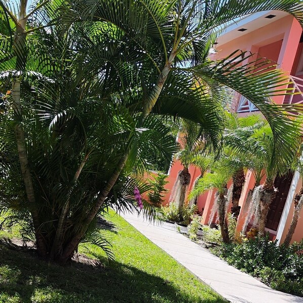 تفاصيل الفندق من الخارج