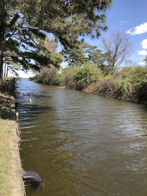Un canal estrecho bordeado de árboles y vegetación densa, con una pasarela de madera a un lado.