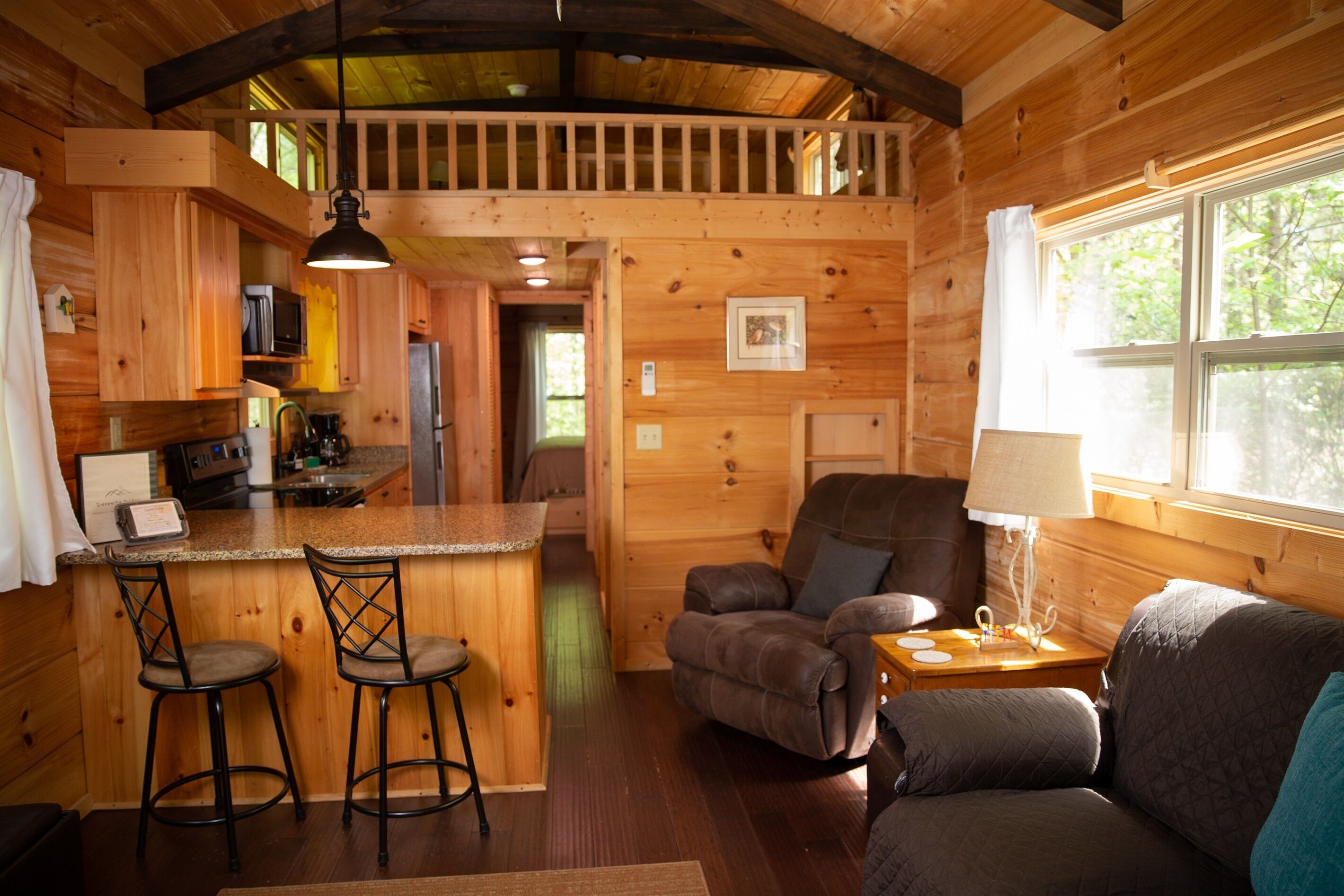 智能电视、壁炉、DVD 播放器、书