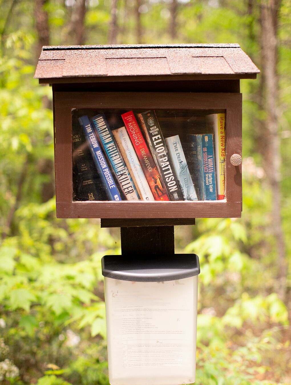 Une bibliothèque remplie de divers ouvrages, placée devant un décor représentant une forêt.