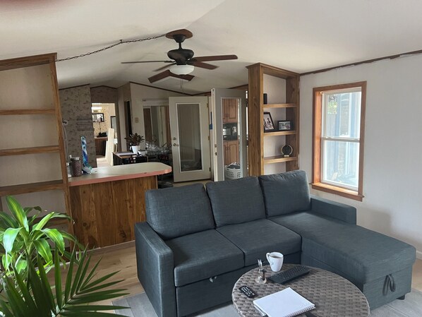 Smart TV, chimenea y monitor de computadora