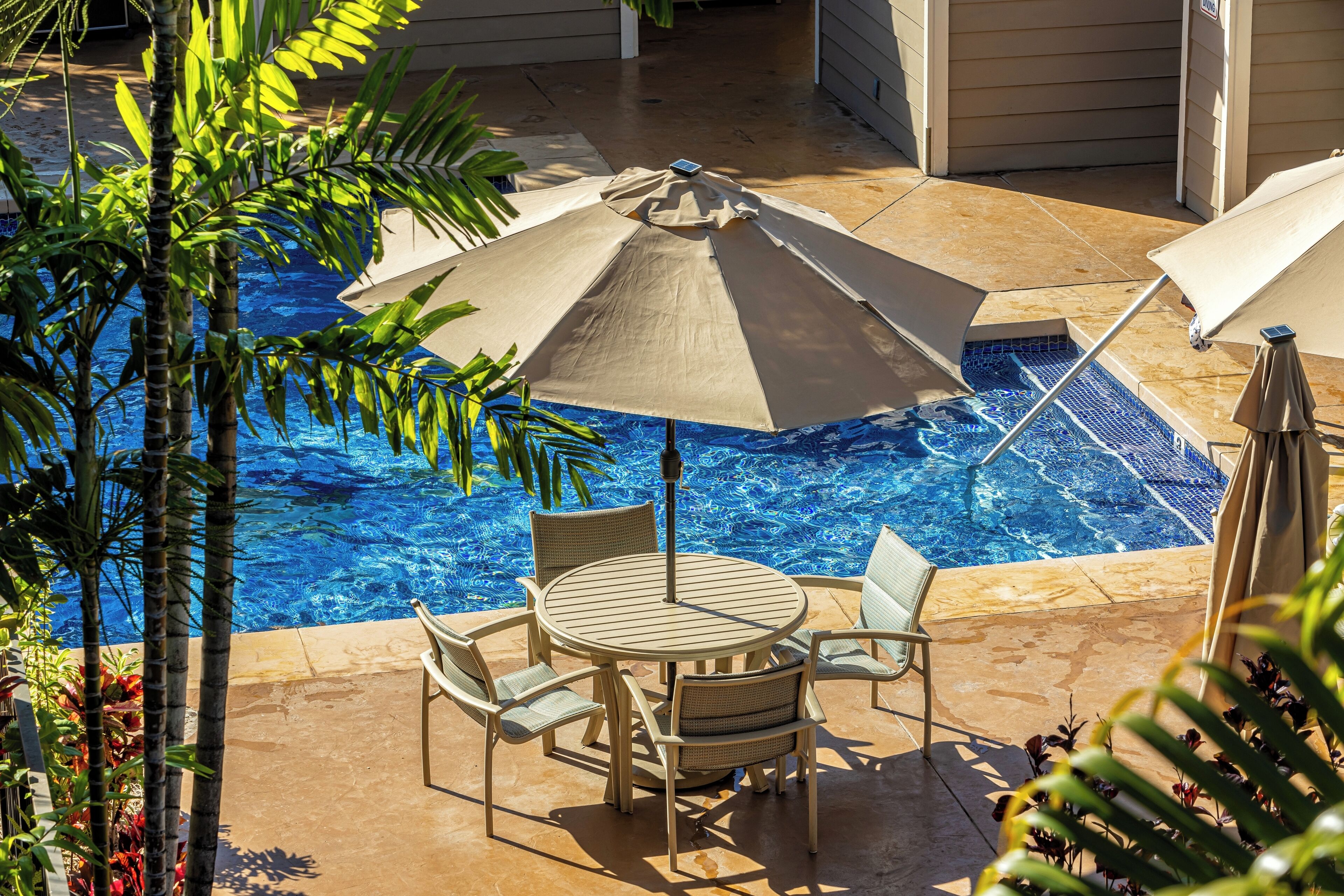Een zwembadgedeelte met een ronde tafel en stoelen, omringd door parasols en palmbomen.