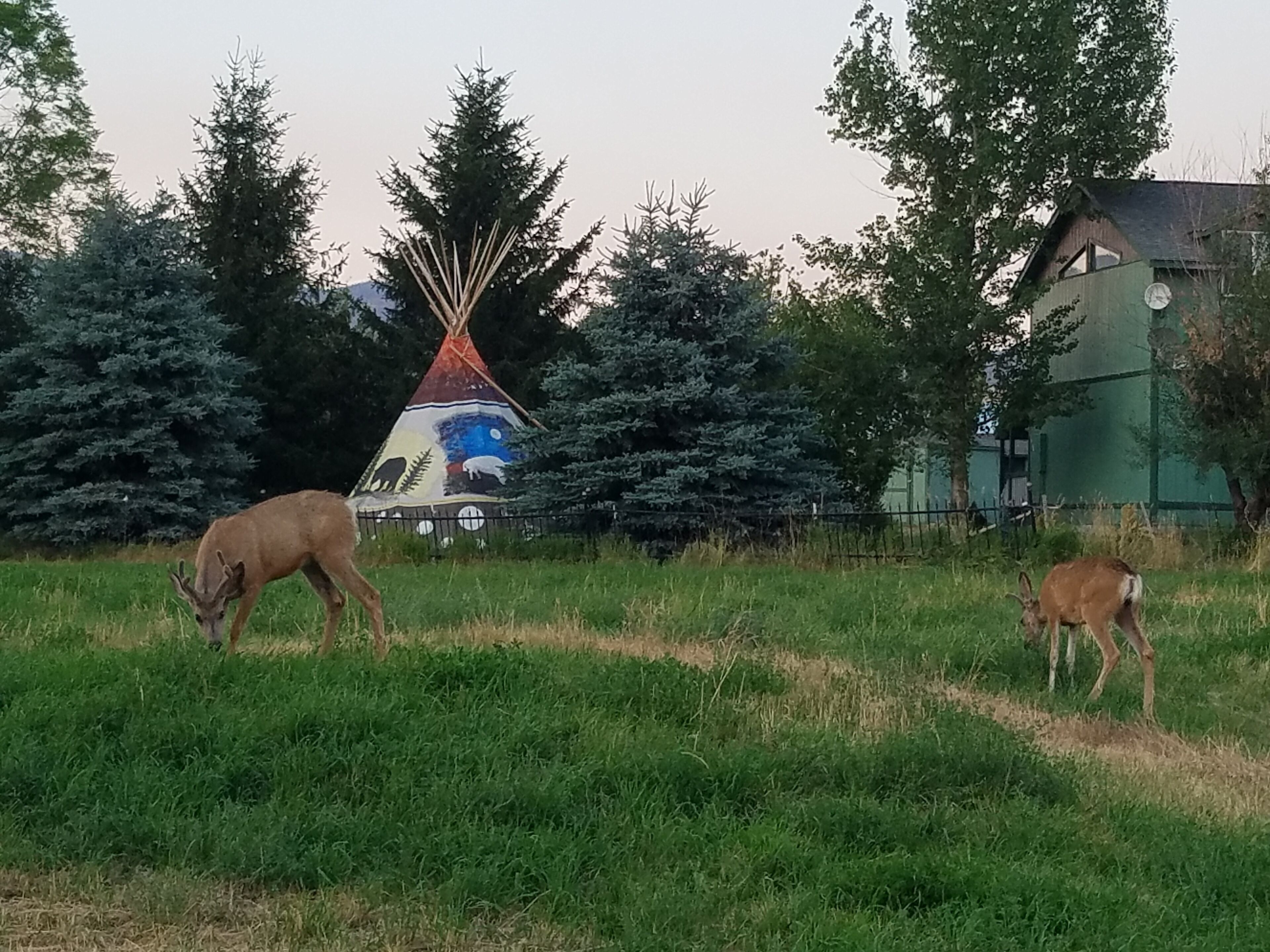 Enceinte de l’hébergement