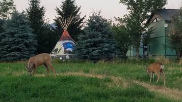Enceinte de lâhĂ©bergement