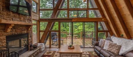 TV, fireplace, DVD player, foosball