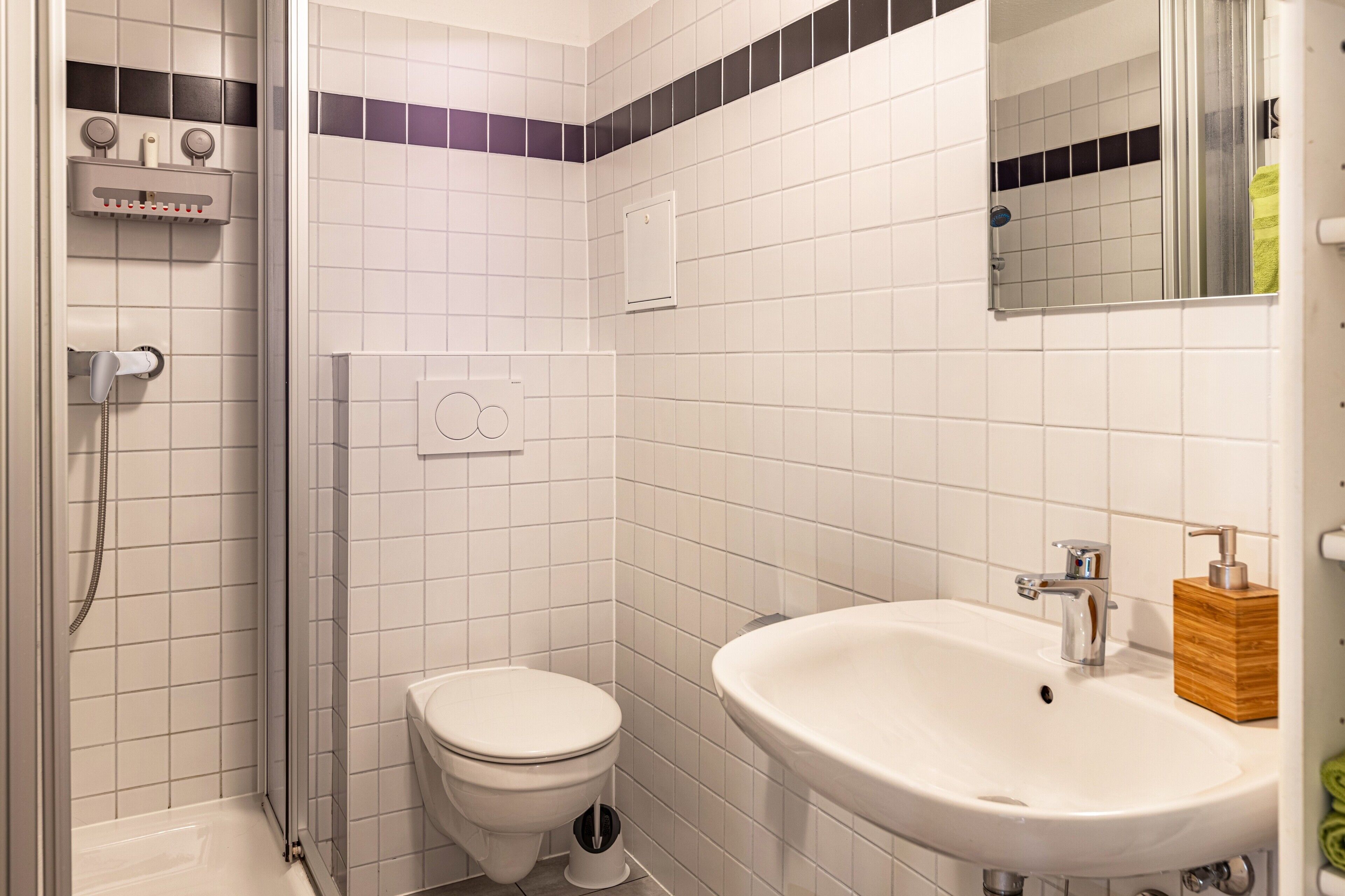 Une salle de bain équipée d’une douche, de toilettes, d’un lavabo et d’un miroir.