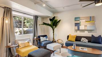 Smart TV, fireplace, books