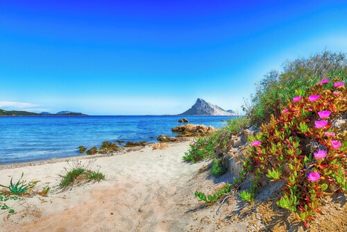 Il Borgo B3 700m From The Beach, Porto San Paolo, Italy