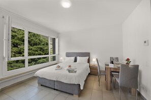 Iron/ironing board, free WiFi, bed sheets - Alta vista, Locarno, Switzerland (Locarno)