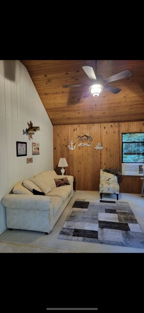 TV, fireplace, DVD player, books