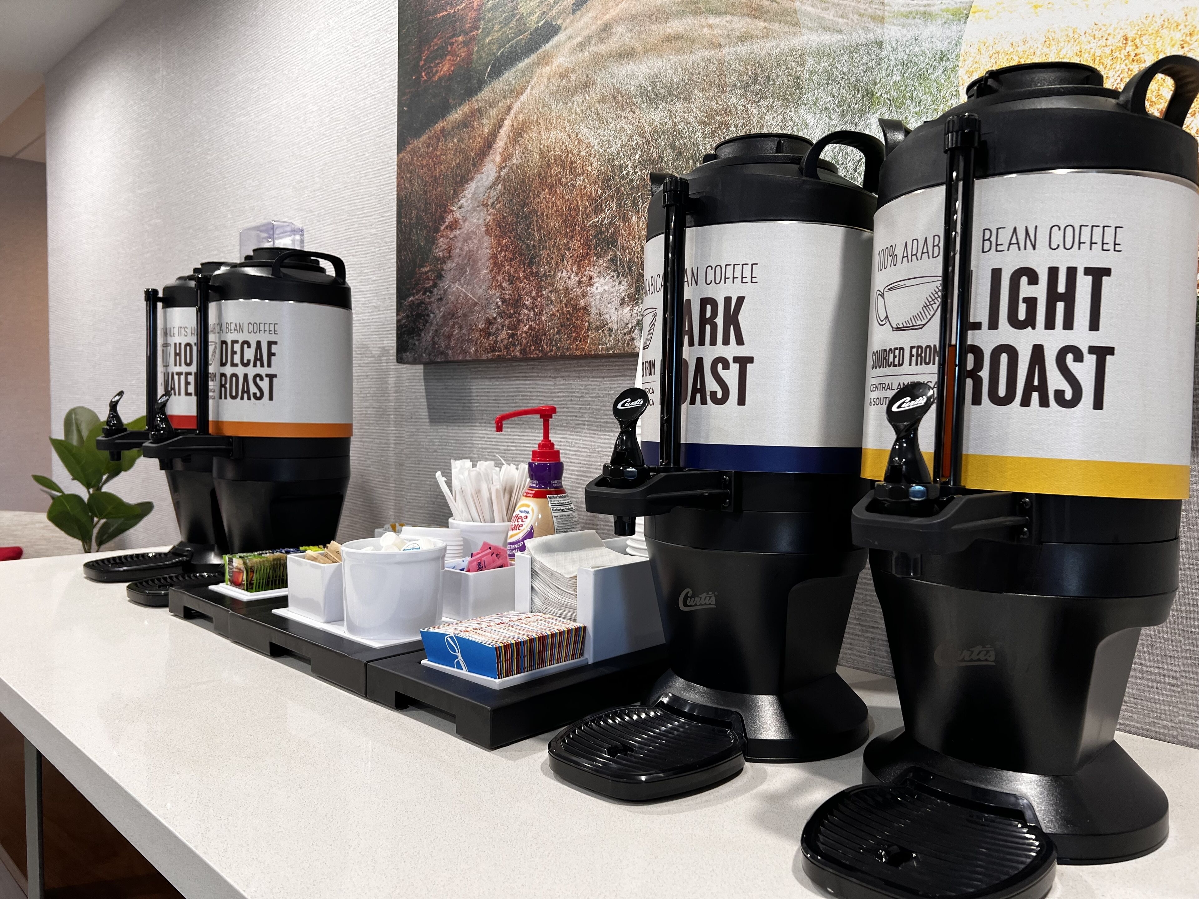 A coffee station with three coffee dispensers labeled "Decaf Roast," "Dark Roast," and "Light Roast." There are also coffee pods, a coffee grinder, and a small plant on the counter.