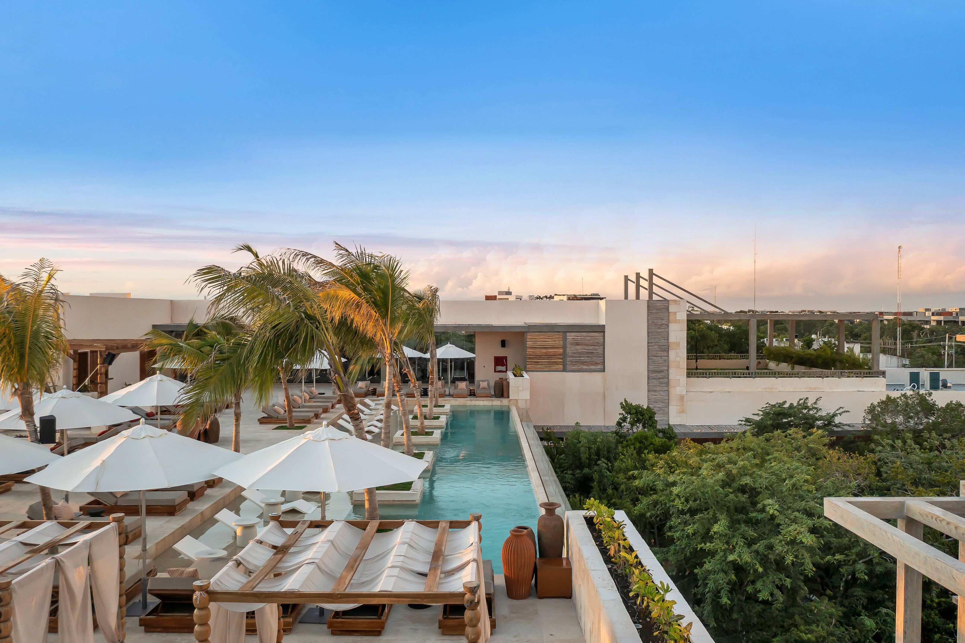 A rooftop pool area with lounge chairs and umbrellas, surrounded by palm trees and modern architecture.
