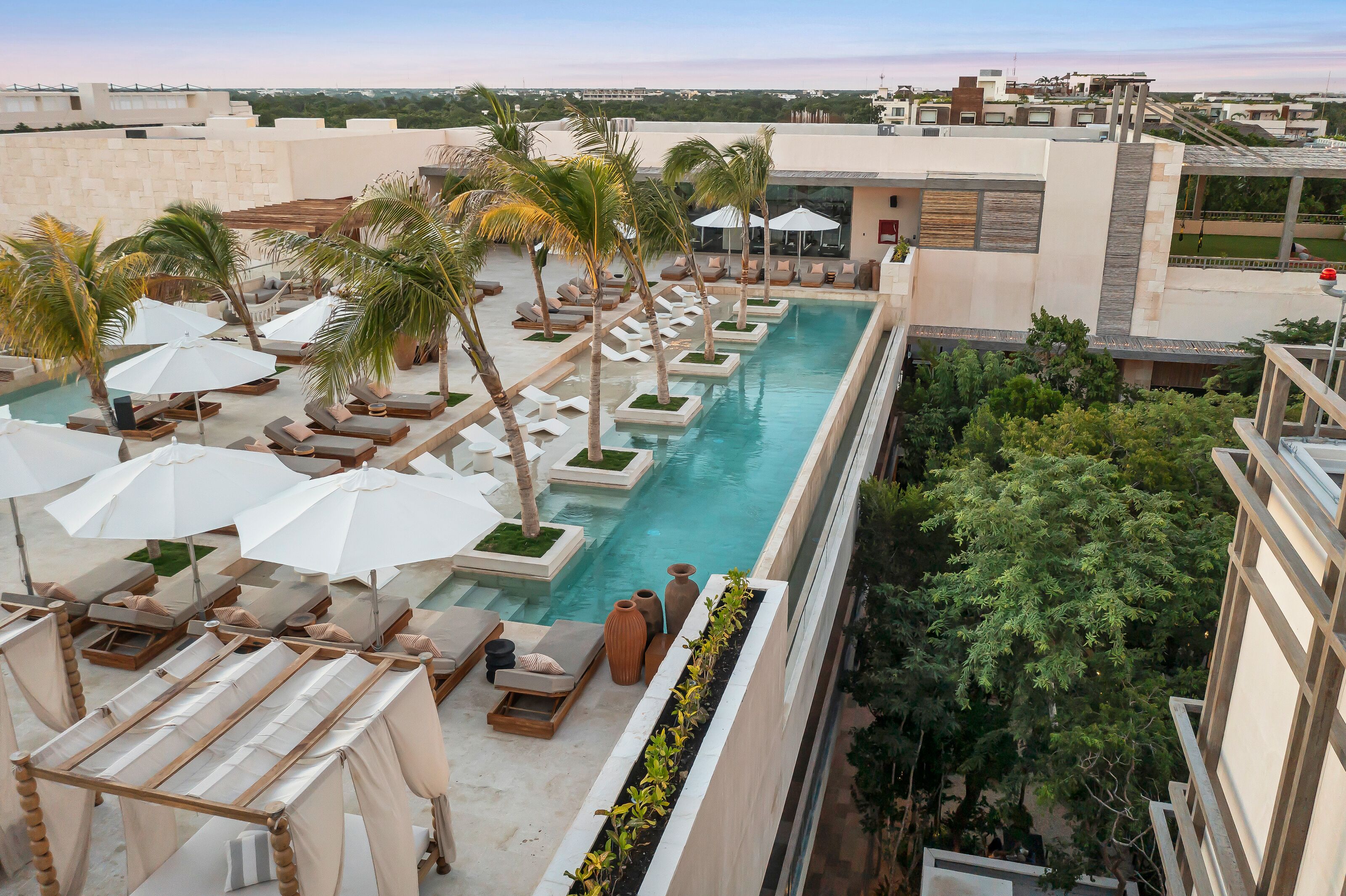 A rooftop pool area with sun loungers, umbrellas, and palm trees.