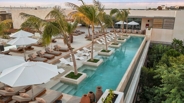 A rooftop pool area with lounge chairs and umbrellas, surrounded by palm trees and a clear sky. - Motto by Hilton Tulum (Tulum)