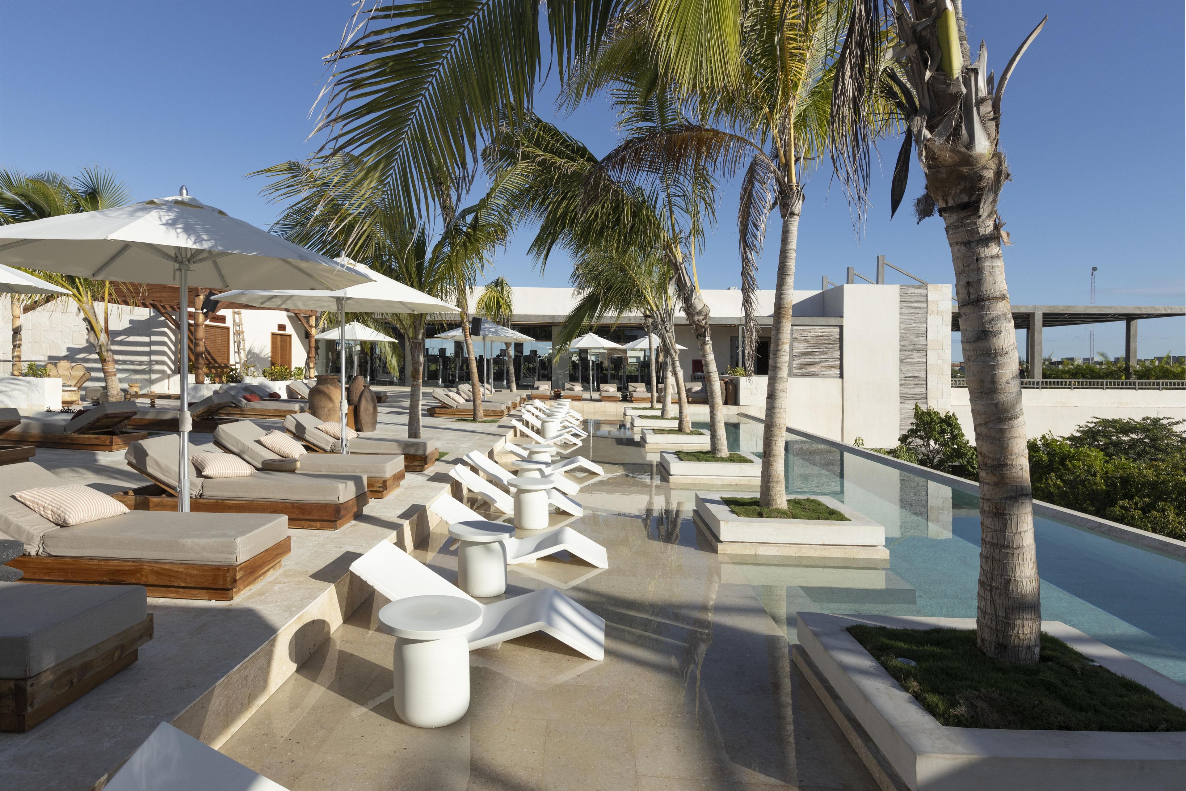 A poolside area with sun loungers and umbrellas, palm trees, and a clear sky.