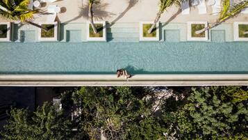 Vista aérea de una piscina con una persona tomando el sol, rodeada de palmeras y sillas de descanso.