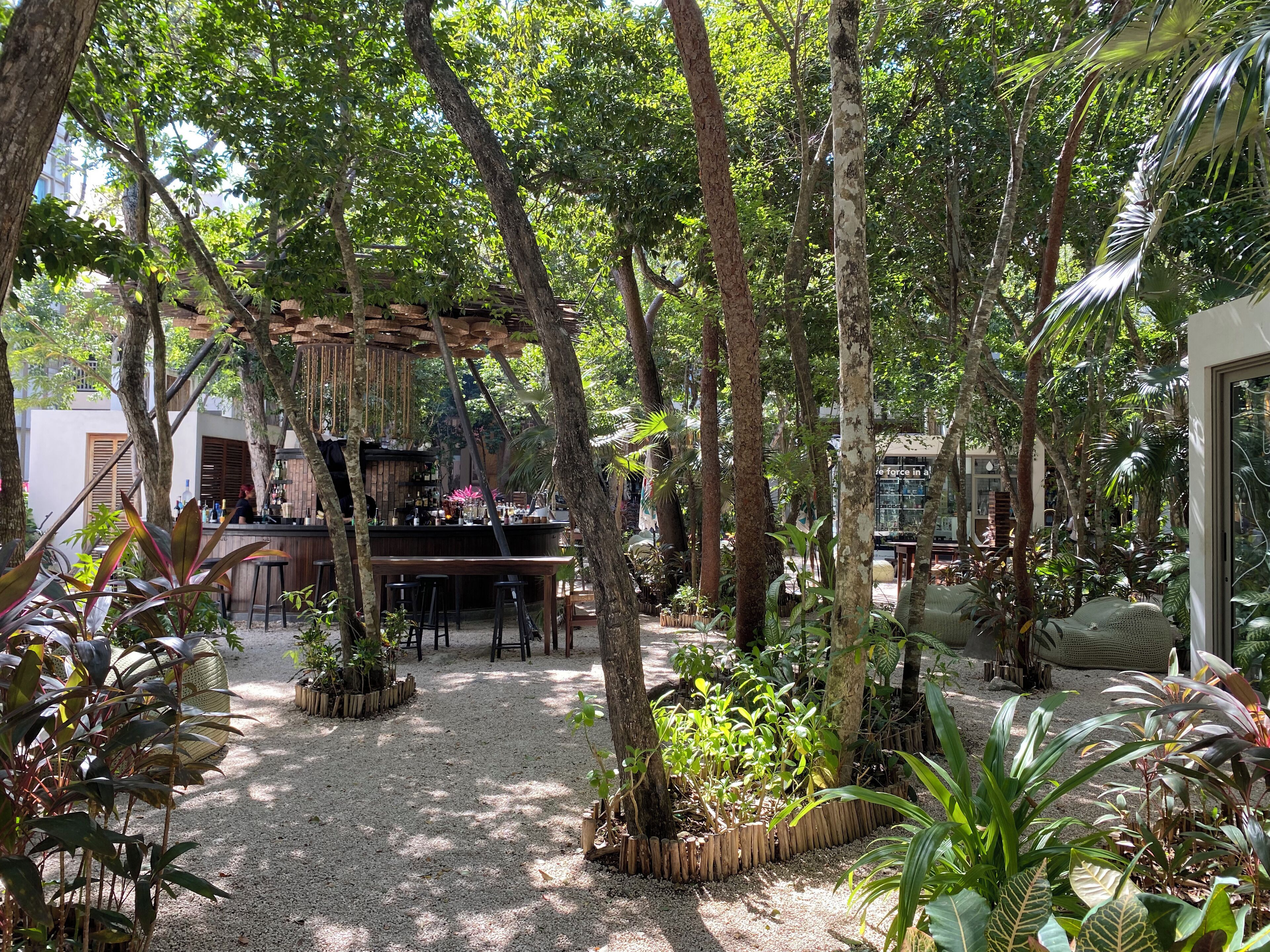 An outdoor seating area with a bar, surrounded by dense foliage and trees.