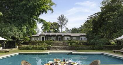 The Lavender House by Reveal