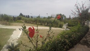 Een tuin met verschillende planten en bloemen, een pad en een uitzicht op verre bergen.