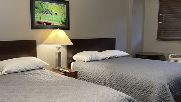 Chambre Confort Double ou avec lits jumeaux | Bureau, Wi-Fi gratuit, ameublement personnalisé